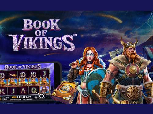 Book of Vikings